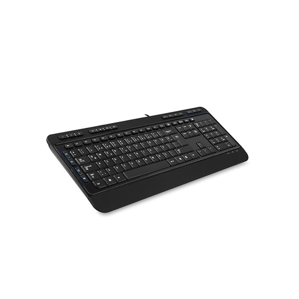 Everest KB-2900 Siyah USB Q Multimedia Klavye