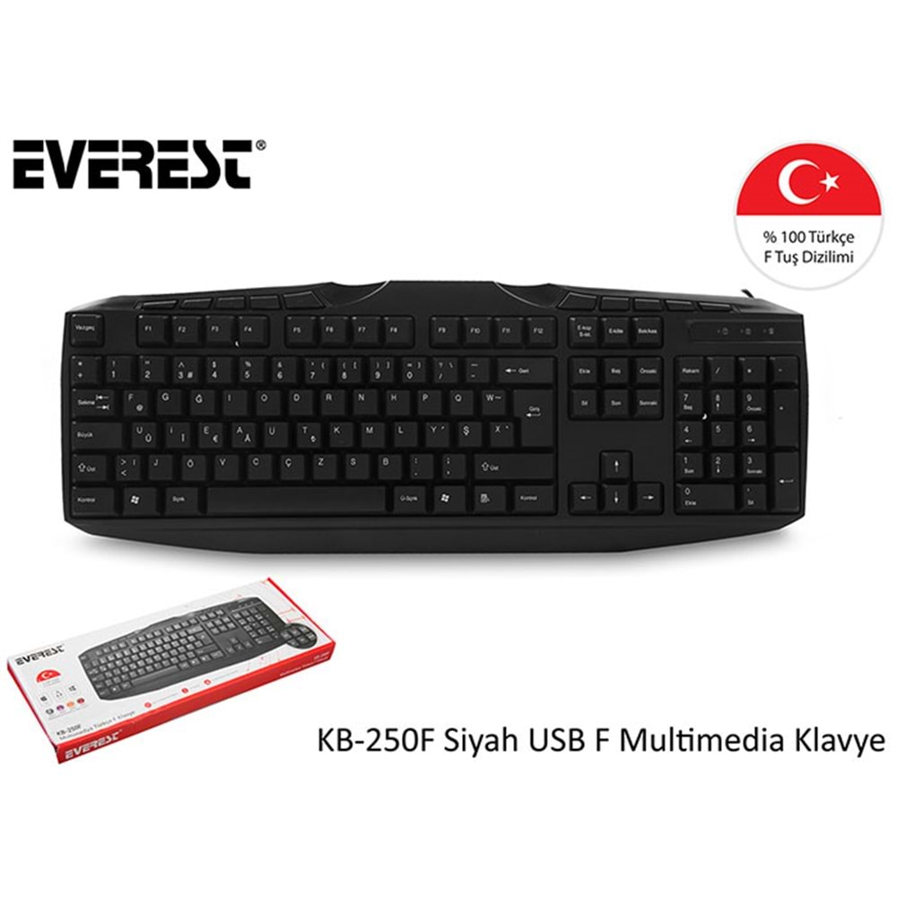 Everest KB-250F Siyah USB Tamamen Türkçe F Multimedia Klavye