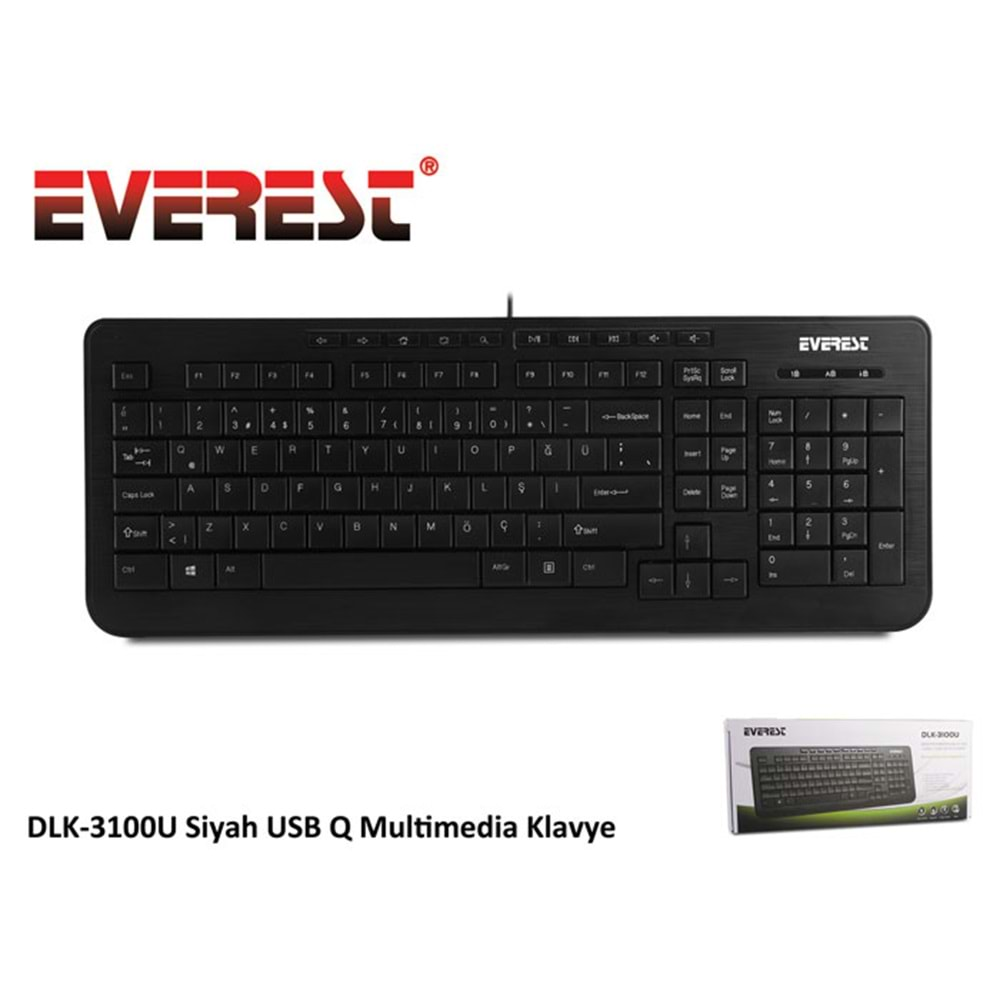 Everest DLK-3100U Siyah USB Q Multimedia Klavye