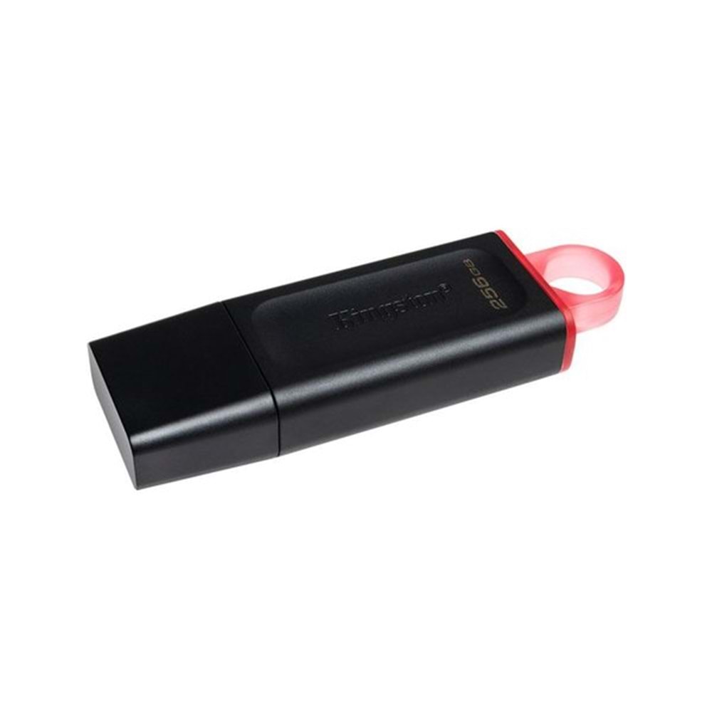 Kingston 256 GB USB 3,2 Data Traveler EXODİA DTX/256GB Usb Bellek