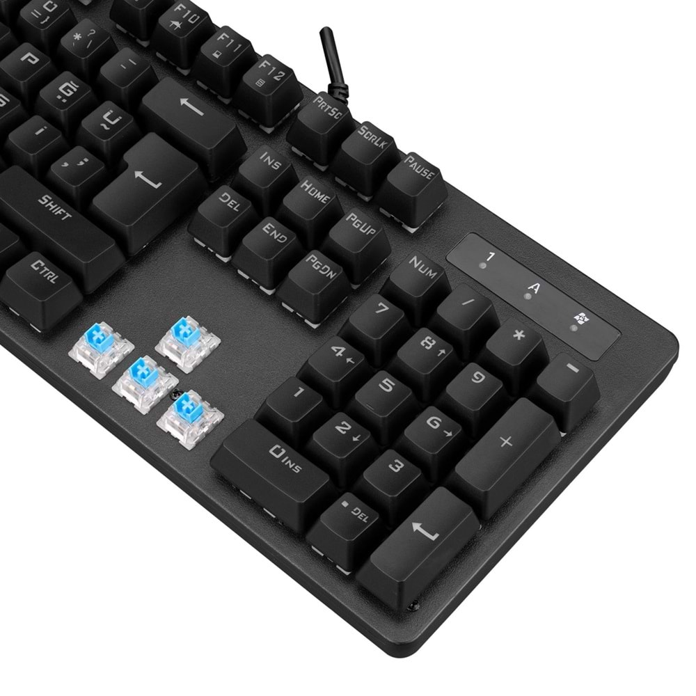 Everest KB-GX7 BLUESKY 21 Işık Efektli BLUE SWITCH Bilek Destekli Mekanik Gaming Oyuncu Klavyesi