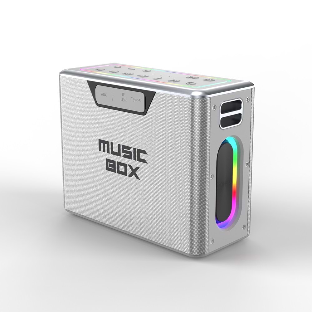HiFuture MUSİCBOX Bluetooth 100W TWS Çift Mikrofonlu Taşınabilir Karaoke Sistemi Kablosuz Hoparlör Gümüş