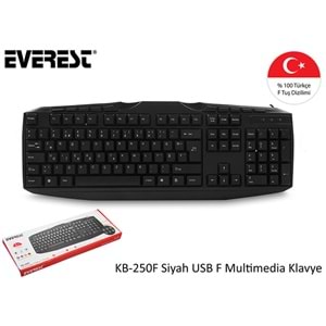 Everest KB-250F Siyah USB Tamamen Türkçe F Multimedia Klavye