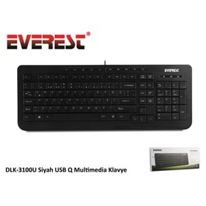 Everest DLK-3100U Siyah USB Q Multimedia Klavye