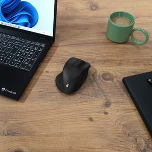 Everest SM-360 Usb Siyah 3D Optik Süper Sessiz Alkalin Pil Kablosuz Mouse