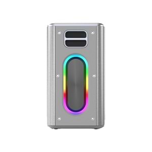 HiFuture MUSİCBOX Bluetooth 100W TWS Çift Mikrofonlu Taşınabilir Karaoke Sistemi Kablosuz Hoparlör Gümüş