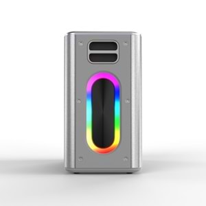 HiFuture MUSİCBOX Bluetooth 100W TWS Çift Mikrofonlu Taşınabilir Karaoke Sistemi Kablosuz Hoparlör Gümüş