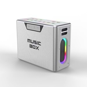 HiFuture MUSİCBOX Bluetooth 100W TWS Çift Mikrofonlu Taşınabilir Karaoke Sistemi Kablosuz Hoparlör Gümüş