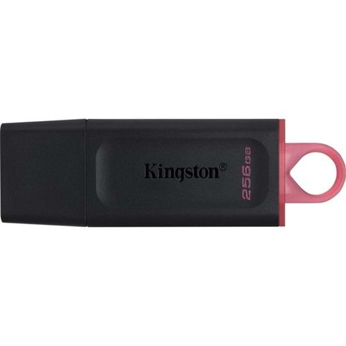 Kingston 256 GB USB 3,2 Data Traveler EXODİA DTX/256GB Usb Bellek