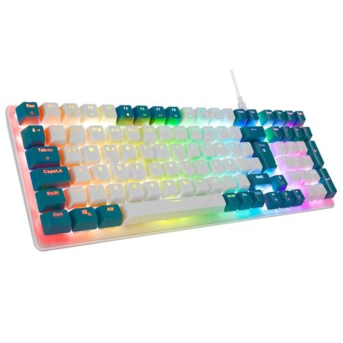 Acer eMachines EAK100 Yeşil/Beyaz USB RGB Backlight RED SWITCH Mekanik Q 100 Tuşlu Compact Gaming Klavye