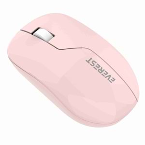 Everest SMW-973 USB 2.4 Ghz Kablosuz Mouse