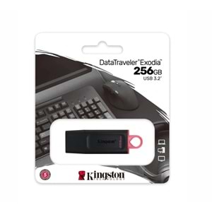 Kingston 256 GB USB 3,2 Data Traveler EXODİA DTX/256GB Usb Bellek