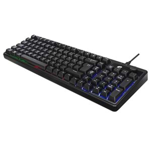 Acer eMachines EAK860 Siyah USB Rainbow Aydınlatmalı Q Standart Kompakt Klavye