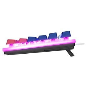 Acer eMachines EAK216 Beyaz/Mavi/Kırmızı USB Rainbow Aydınlatmalı Q Standart TKL Klavye