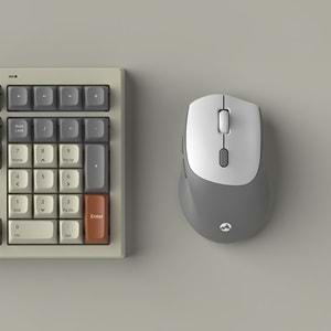 Everest KM-78 Rena Krem/Gri/Kahve Kablosuz 2.4 + BT RGB Aydınlatmalı Sessiz Q Su Sıçramasına Dayanıklı Klavye + Mouse Se